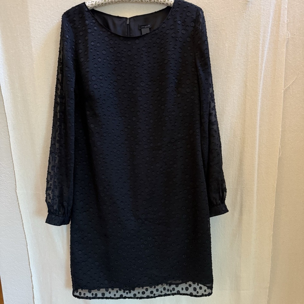 Ann Taylor Black Shift Dress‎ Sz 8 Sheer Chiffon Balloon Sleeves NWOT